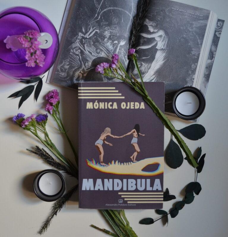 Scopri di più sull'articolo Mandibula