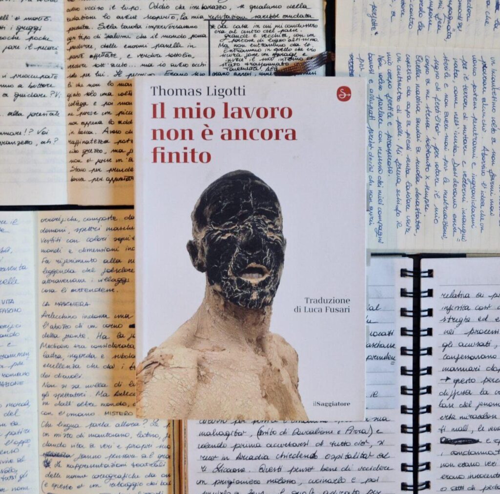 Scopri di più sull'articolo Il mio lavoro non è ancora finito