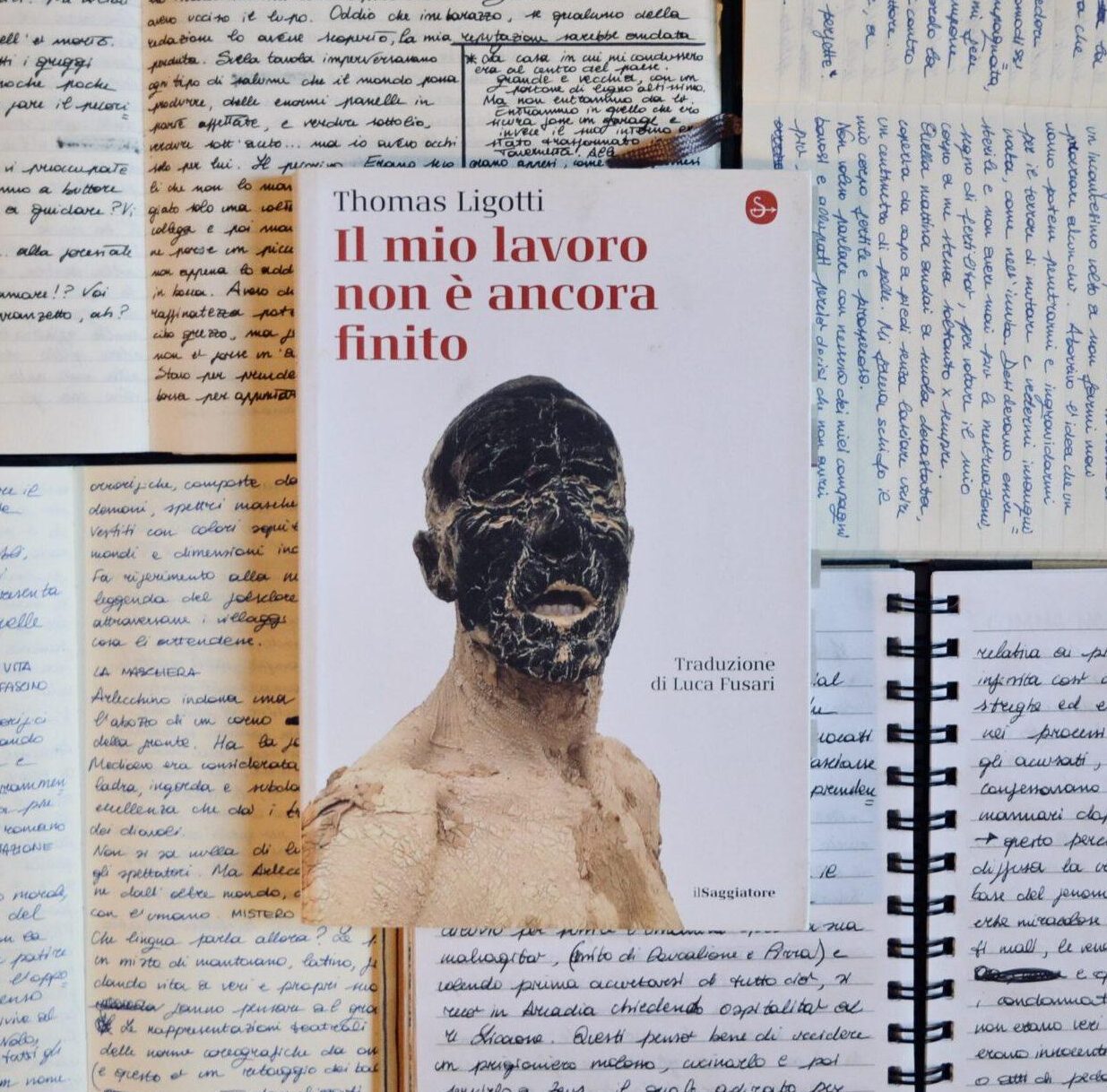 Al momento stai visualizzando Il mio lavoro non è ancora finito